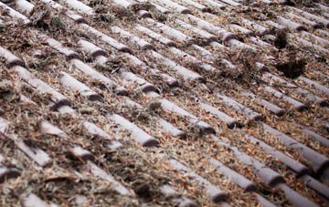 Upper Lybster roof cleaning companies